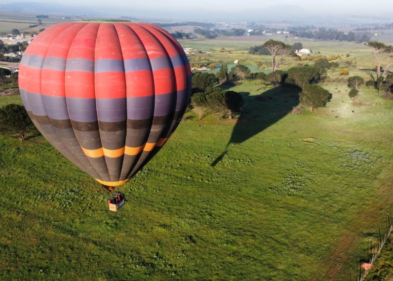 Hot Air Balloon - Winelands