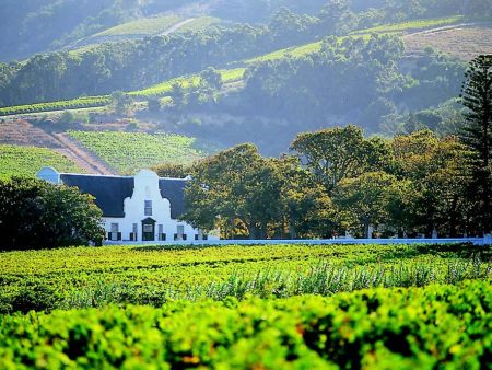 Winelands Day Trip
